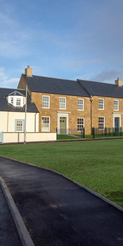 A bright photograph showing the rear view of houses at the Chapelton development and surrounding green space.